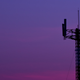 Illustration for article titled LTE Direct Will Let Your Phone Get Alerts With No Towers in Sight